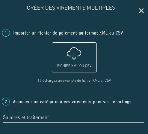 Virement multiple catégorie