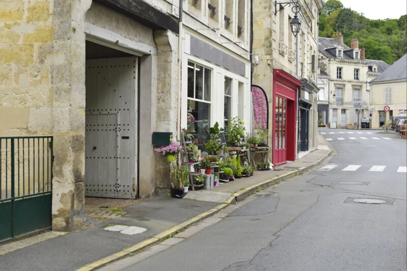 Les avantages pour le démarrage d’une activité en zone de revitalisation rurale